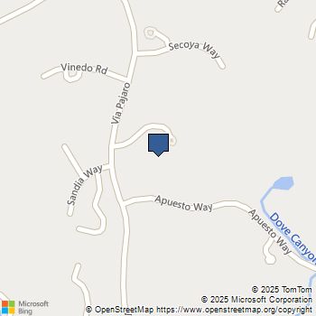 22442 Via Pajaro Coto de Caza, CA MLS# OC25193190