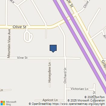 21460 Vine Street Wildomar, CA MLS# NDP2508210