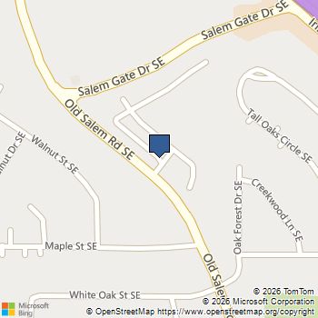 1569 Salem Drive 85 Conyers, GA MLS# 10721235