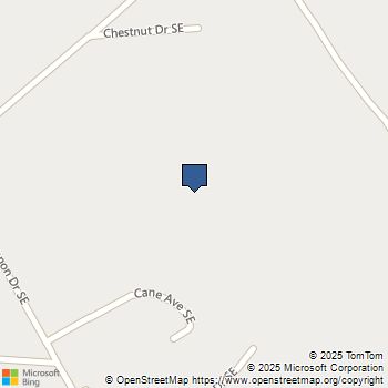 217 Orwell Drive Social Circle, GA MLS# 10656098