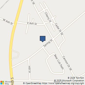 494 Spring Street Social Circle, GA MLS# 10650879