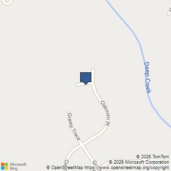 219 Birch Way Fairburn, GA MLS# 10854896