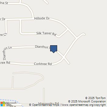 34133 Dianthus Lane Lake Elsinore, CA MLS# IG25130736