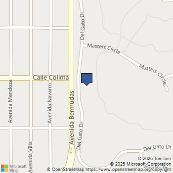 53360 Del Gato Drive La Quinta, CA MLS# 219113576DA