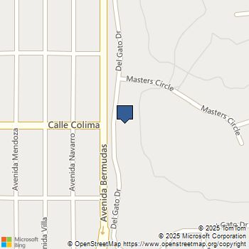 53330 Del Gato Drive La Quinta, CA MLS# 219138371DA