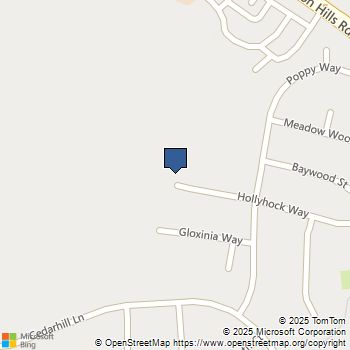 31934 Hollyhock Street Lake Elsinore, CA MLS# SW25169246