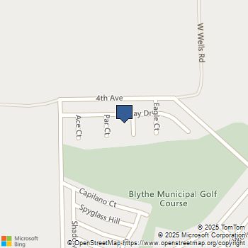 3951 Birdie Court Blythe, CA MLS# 219134253DA