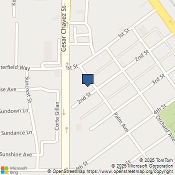 0 Palm Avenue Coachella, CA MLS# 219132469DA