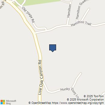 19334 Live Oak Canyon Trabuco Canyon, CA MLS# OC25037210