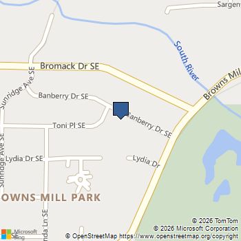 287 SE Banberry Drive SE Atlanta, GA MLS# 10704057