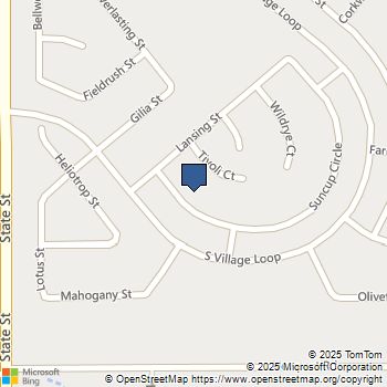 396 Suncup Circle Hemet, CA MLS# WS25195558