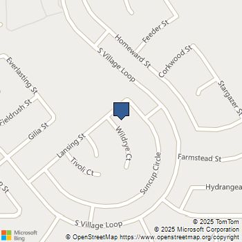 534 Wildrye Ct Hemet, CA MLS# PTP2508112