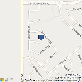 264 Cleomella Court Hemet, CA MLS# SW25252820