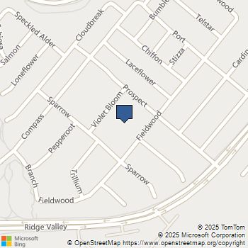 146 Violet Bloom Irvine, CA MLS# SW25245316