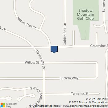 73297 Grapevine Street Palm Desert, CA MLS# 219130599DA