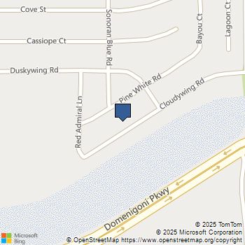 4460 Cloudywing Rd Hemet, CA MLS# 250041100SD