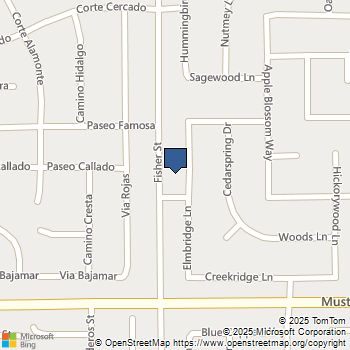 1619 Elmbridge Lane Hemet, CA MLS# SW25250163