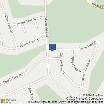 2157 Pecan Tree Street Hemet, CA MLS# SW25151499