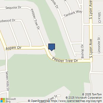 1484 Pepper Tree Drive Hemet, CA MLS# SW25252073