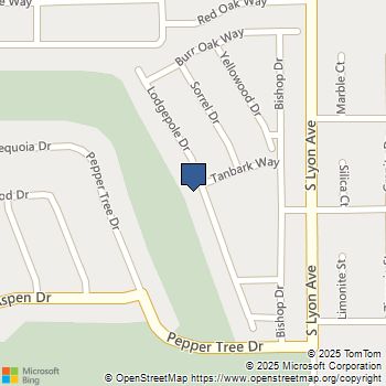 1329 Lodgepole Drive Hemet, CA MLS# ND25165131