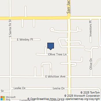 1170 Olive Tree Lane Hemet, CA MLS# CV25176536