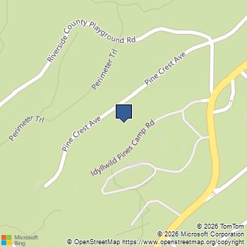 53835 Pine Crest Avenue Idyllwild, CA MLS# 219145570DA