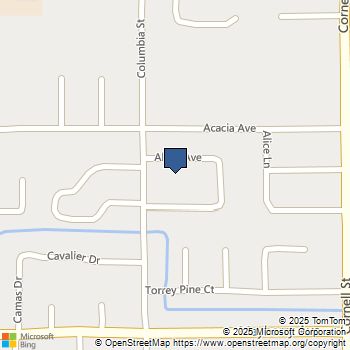 41041 Alder Hemet, CA MLS# SW25249634