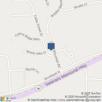 7201 Cedar Forest Drive Douglasville, GA MLS# 10662375