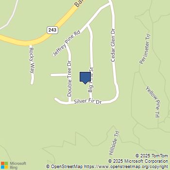 25685 Big Pine Street Idyllwild, CA MLS# CV24030912