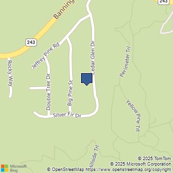 25651 Cedar Glen Dr Idyllwild, CA MLS# PTP2304900