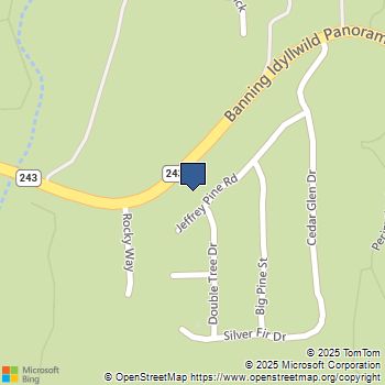 53580 Jeffrey Pine Idyllwild, CA MLS# 219107232DA