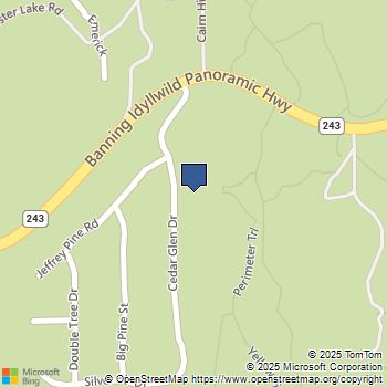 25504 Cedar Glen Drive Idyllwild, CA MLS# 219127795PS