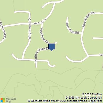 25390 Shadow Oaks Idyllwild, CA MLS# 219138595DA