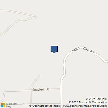 43 Skunk Homeland, CA MLS# OC25047181