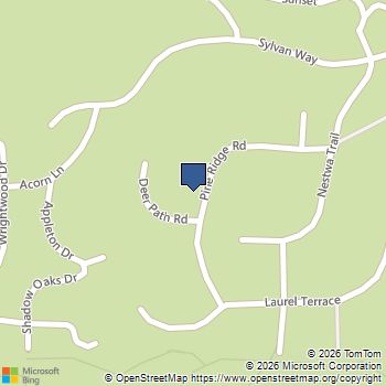 52402 Pine Ridge Road Idyllwild, CA MLS# 219141072DA