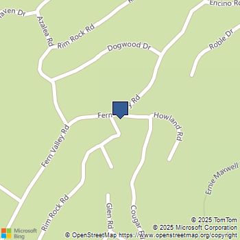 24918 Fern Valley Road Idyllwild, CA MLS# 219134036DA