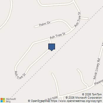 4641 Ash Tree Street Snellville, GA MLS# 10774007