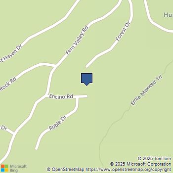 55596 Encino Road Idyllwild, CA MLS# 219103218PS