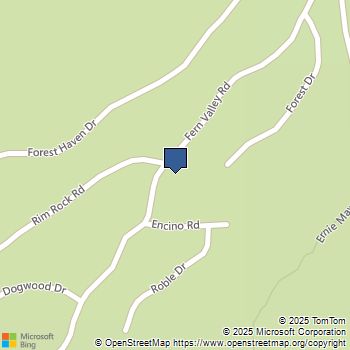 24718 Fern Valley Road Idyllwild, CA MLS# 219132616PS