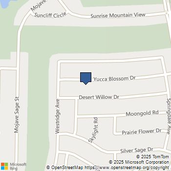 78259 Yucca Blossom Drive Drive Palm Desert, CA MLS# 219135791DA