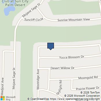 78237 Willowrich Drive Palm Desert, CA MLS# 219137860DA