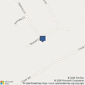 1729 Brandi Lane Loganville, GA MLS# 10817206