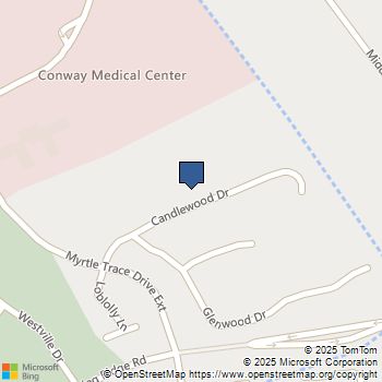 225 Candlewood Dr. Conway, SC MLS# 2528973