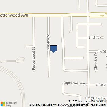 265 Lori Ann San Jacinto, CA MLS# SW26160358