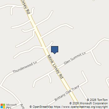 4330 Mink Livsey Road Snellville, GA MLS# 10833789