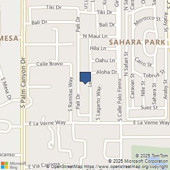 248 Lei Drive Palm Springs, CA MLS# 219133608DA