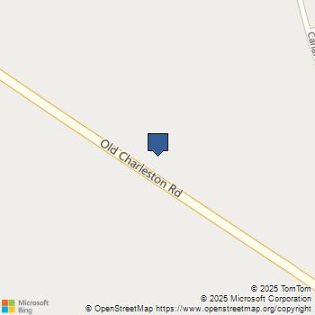 636 Old Charleston Road Pelion, SC MLS# 623404