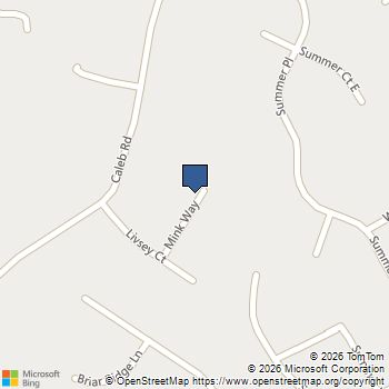 303 Mink Way Snellville, GA MLS# 7707155