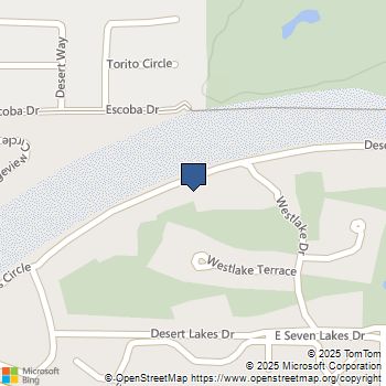 157 Desert Lakes Drive Palm Springs, CA MLS# 219116219PS