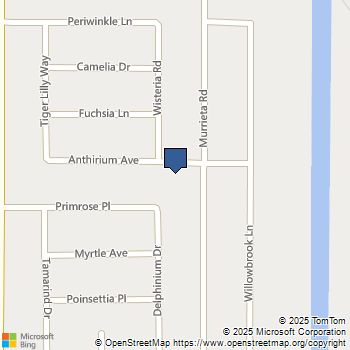 763 Anthirium Avenue Perris, CA MLS# PW25195373